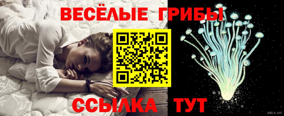 Карпинск  Галлюциногенные грибы Magic Shrooms  Вход с VPN 